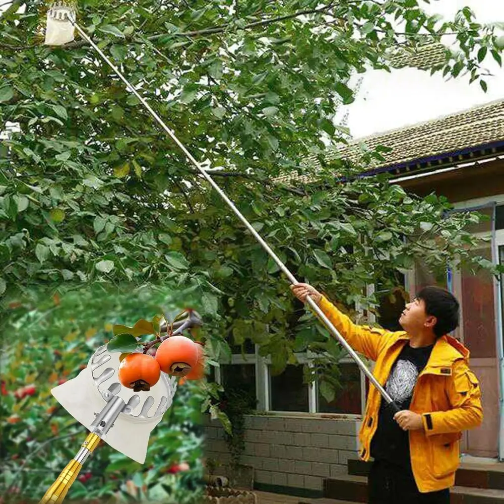 เครื่องมือเก็บผลไม้แบบยืดได้พร้อมถุง - 3 เมตร/9.8 ฟุต, เสาแบบยืดได้น้ำหนักเบาสำหรับเก็บผลไม้ตระกูลส้ม, ลูกพีช, แอปเปิ้ล