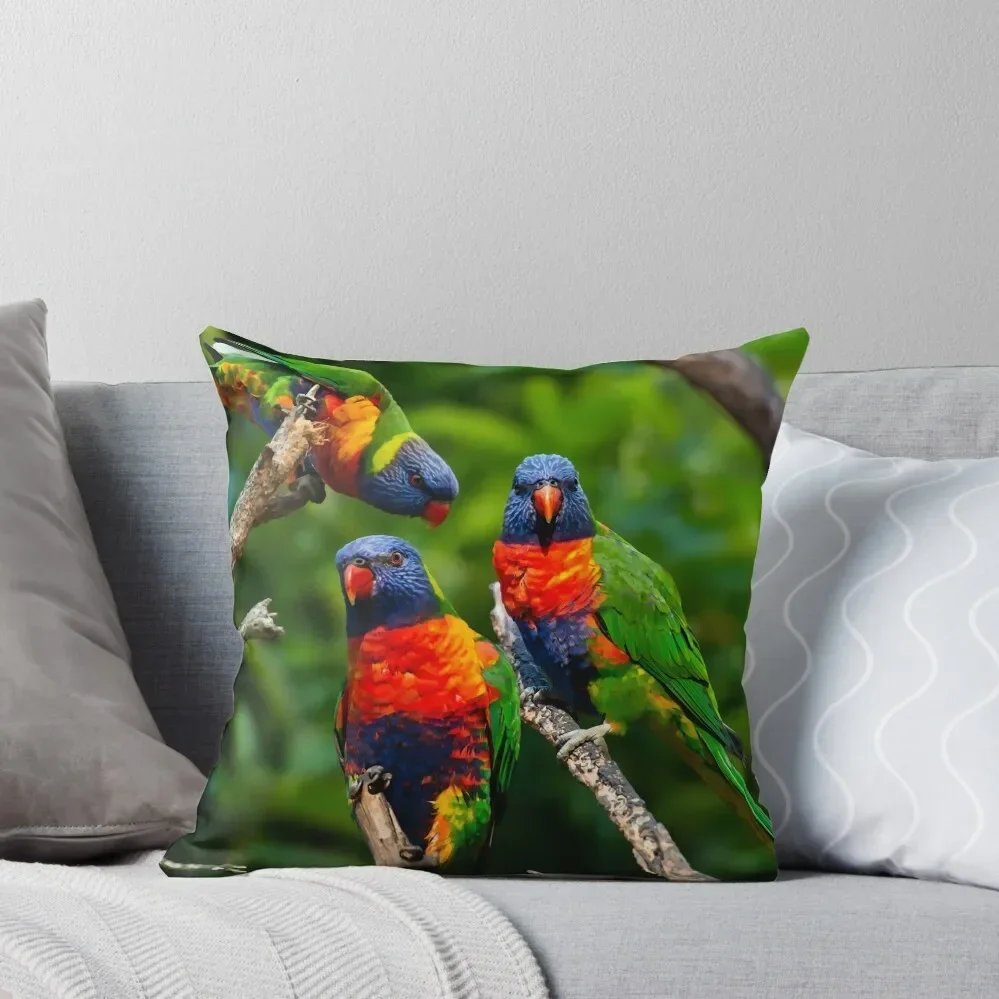 Rainbow Lorikeet Love, Australian Birds, Bright and Colorful Birds with personality and sparkle Throw Pillow