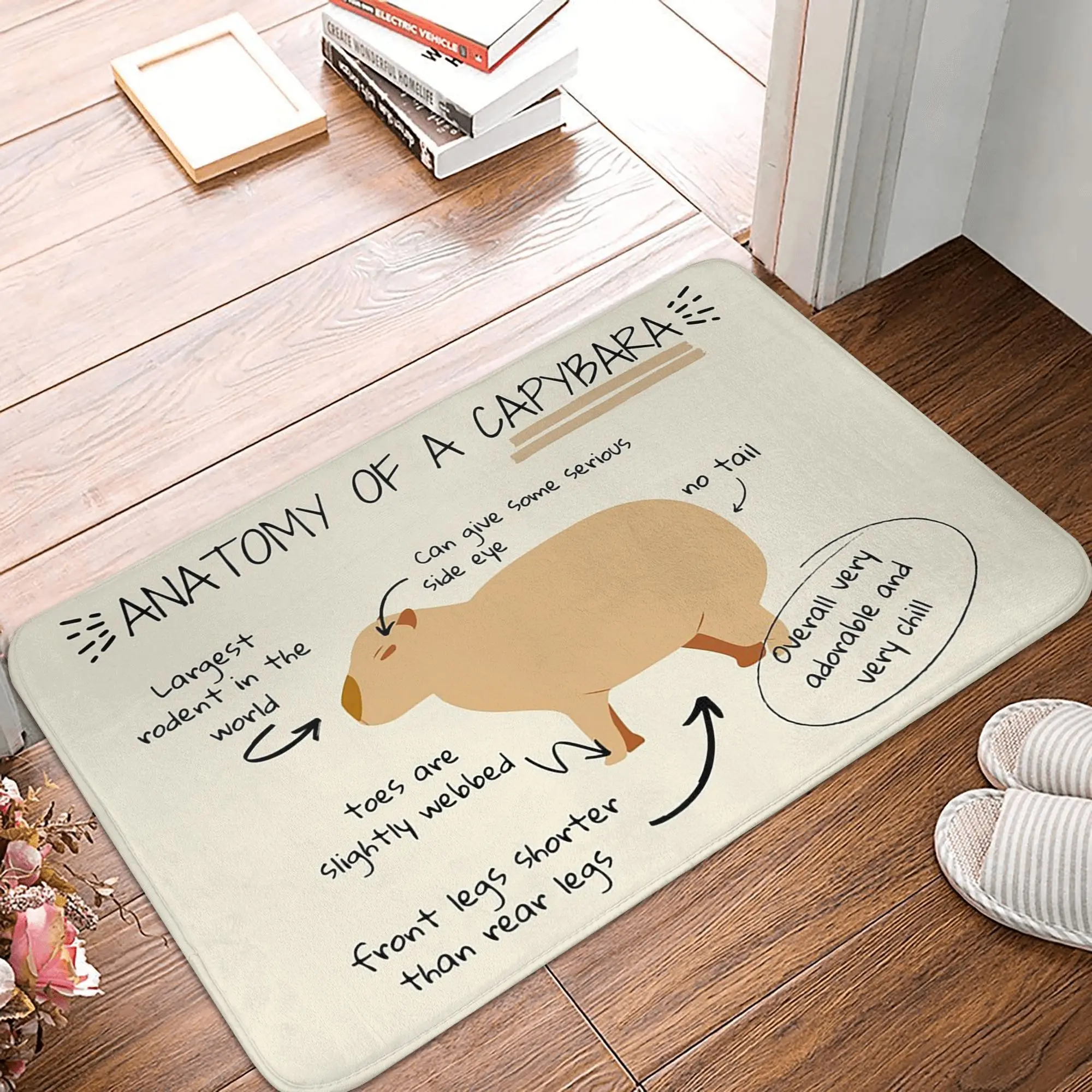Anatomy of a capybara Anti-slip Doormat Floor Mat Absorbent Mat Carpet Rug for Kitchen Entrance Home Bedroom Footpad Mats