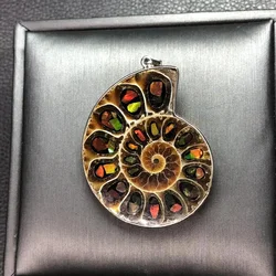 1 Pc Fengbaowu Natural Stone Splice Rough Raw Ammolite Pendant 925 Sterling Silver Fashion Jewelry Gift For Women Men
