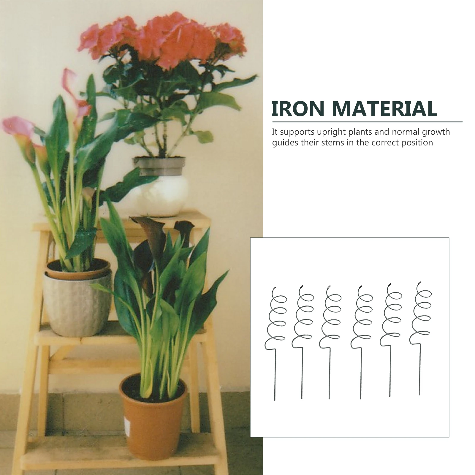 

6pcs Spiral Plant Support Stakes Durable Wrought Iron Garden Supports Outdoor Indoor Potted Climbing Rack Flower