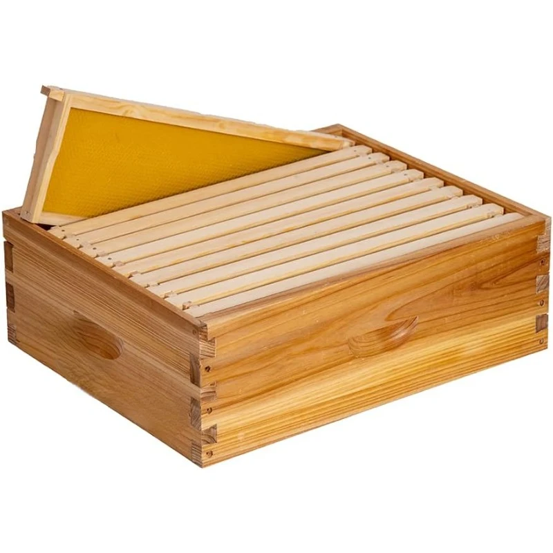 10 Frame Medium Super Bee Hive Box, Langstroth Honey Bee Hive Dipped in 100% Beeswax Include Beehive Frames and Wax