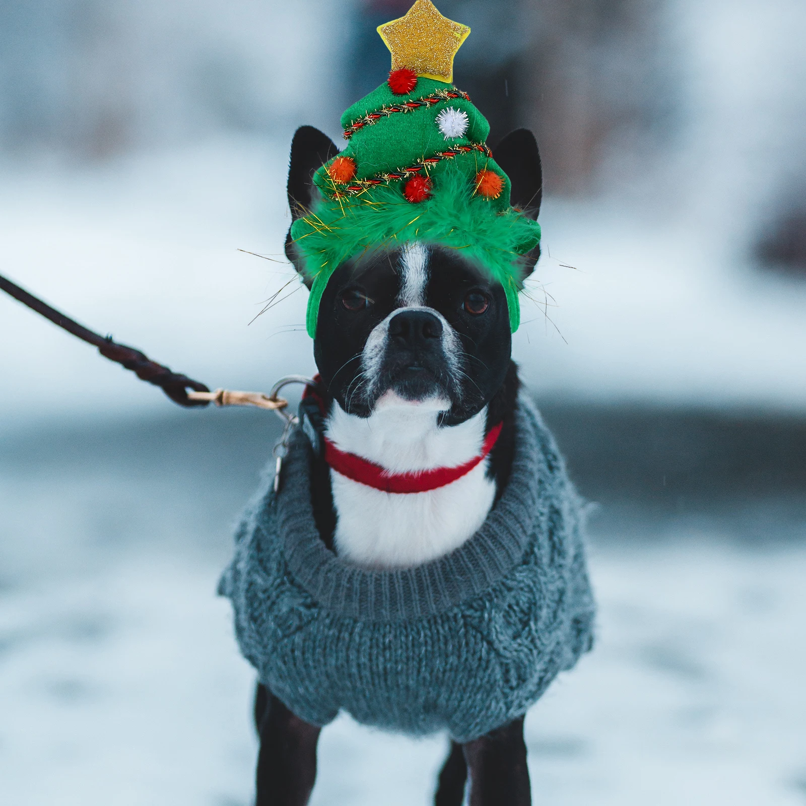 

Christmas Star Hair Hoop For Dogs Holiday Xmas Decor Supplies Pet Supplies Hair Pet Cosplay Costume Accessories