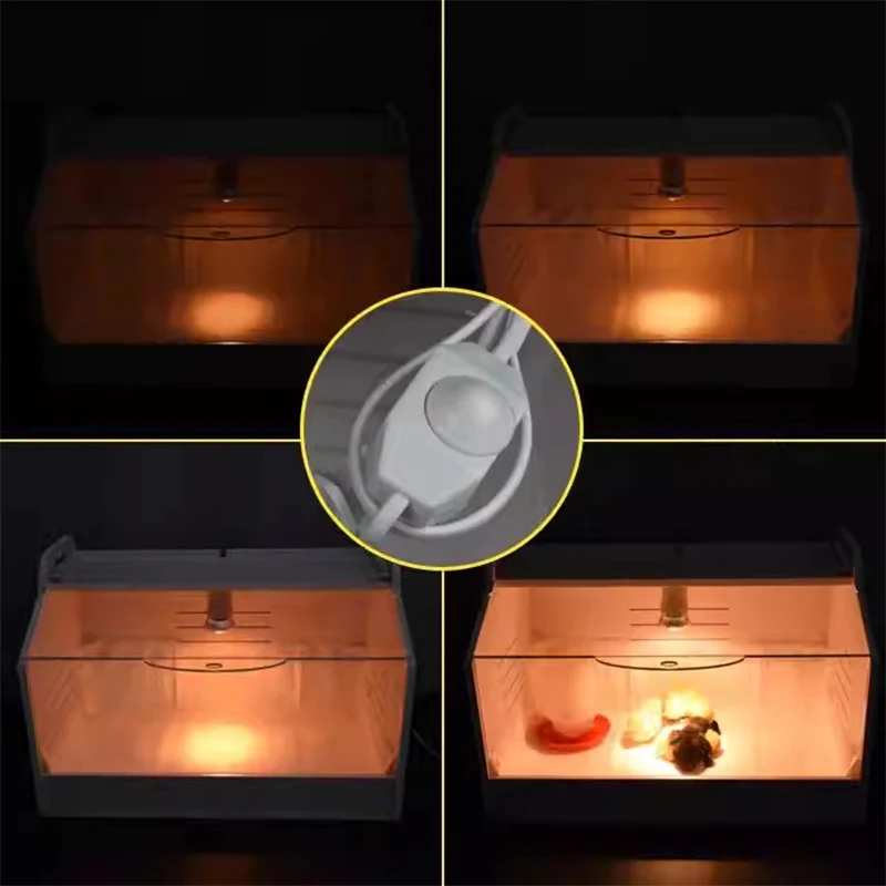 

Chick Incubator, Quail/Duckling Heating and Incubation Box, Poultry Farm Incubation Equipment, Incubator, Bird Hatchery