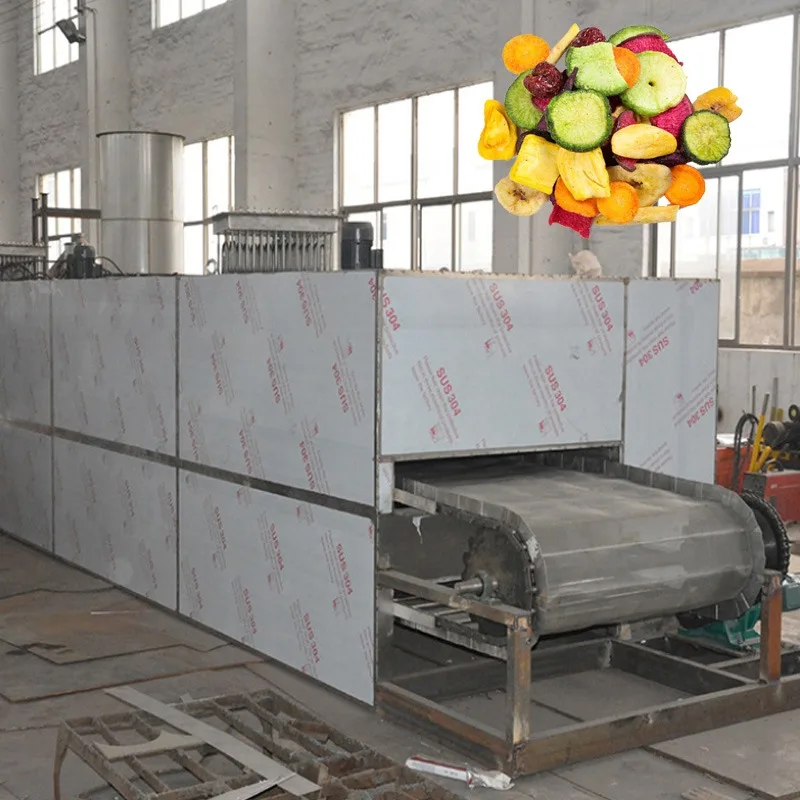 Dw Belt Dryer Fruit Vegetable Multi-Layer Mesh Belt Drying Equipment