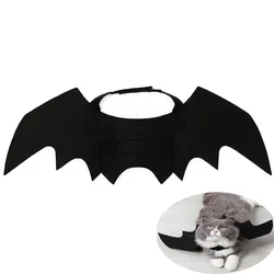 Pet Bat Wings