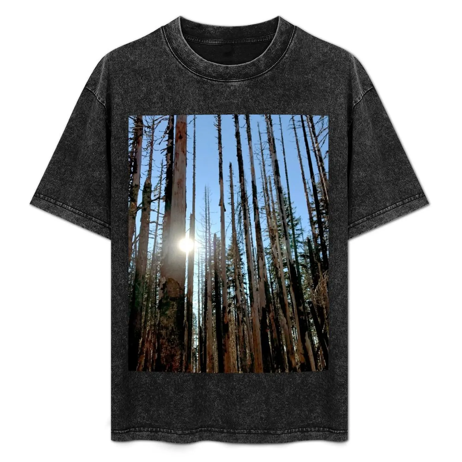 

Shine Through T-Shirt Comfortable Workout Short Sleeve Shirt