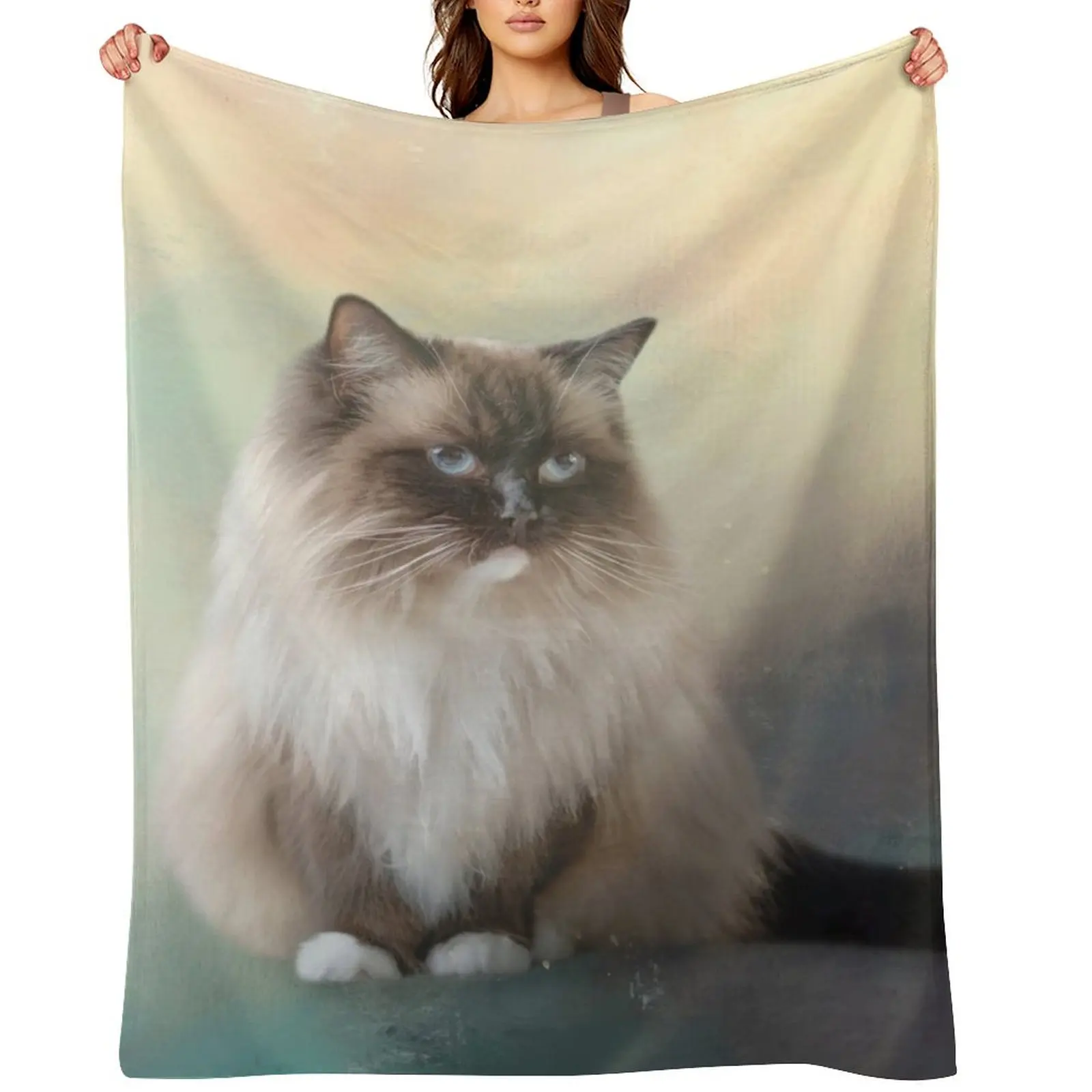 

Chocolate Point Ragdoll Cat 02 Throw Blanket Heavy Soft Plush Plaid For Sofa Thin Personalized Gift Blankets