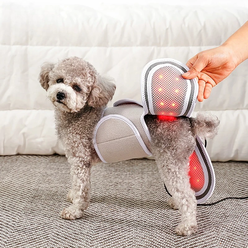 ZONGYAN Pet Infrared Therapy Pad LED Red Light Physiotherapy Mat For Joint Patella Pain Relief Home Veterinary Care Dogs Cats