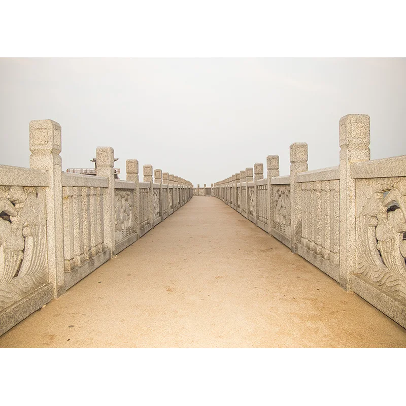 ZHISUXI Vinyl Custom Photography Backdrops Brick Wall and floor Scenery Theme Photo Studio Background 210116 WL-01