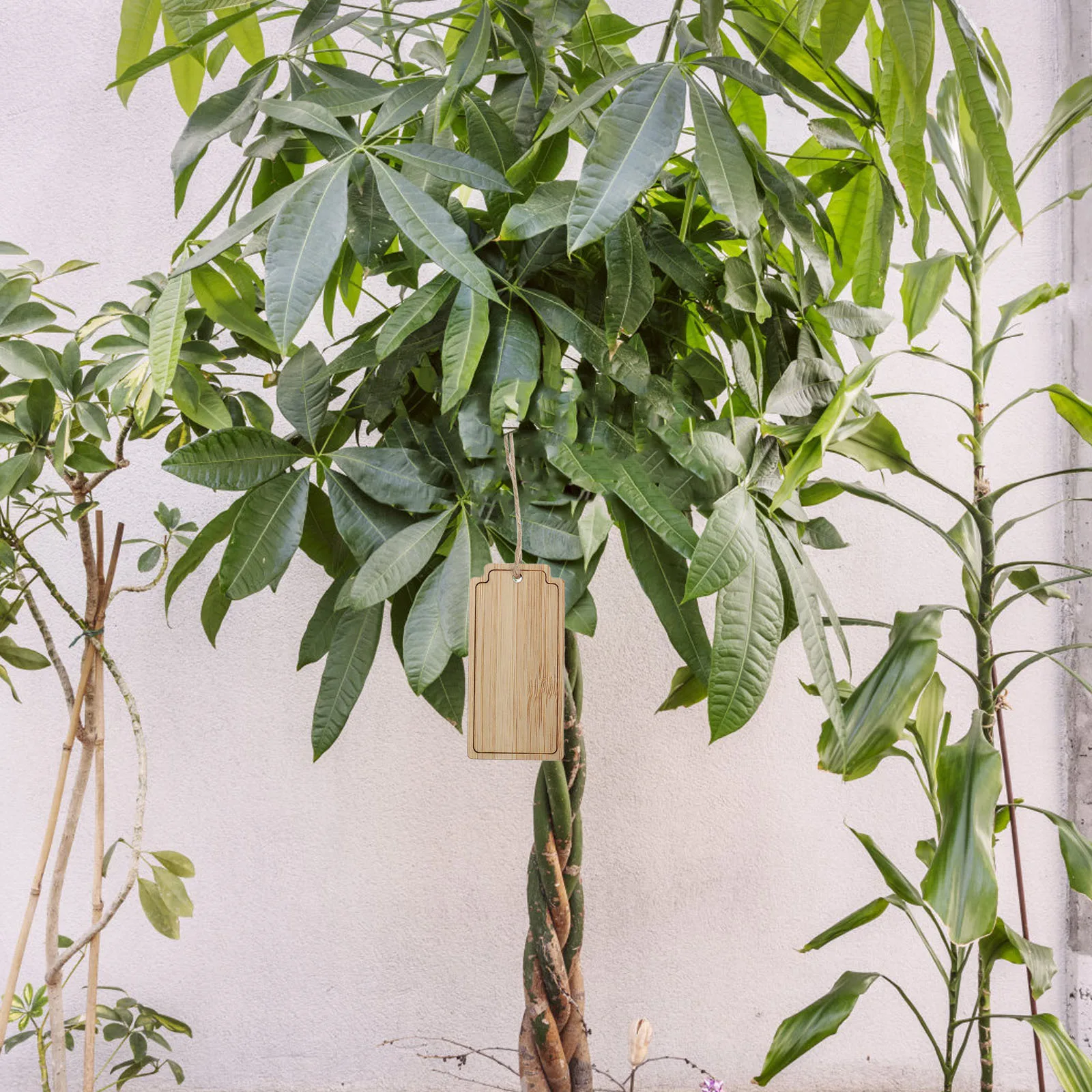 

10pcs Bamboo Small Hanging Tags Reusable Garden Markers For Plant Identification Outdoor Labels Wooden Plant Signs Gardening