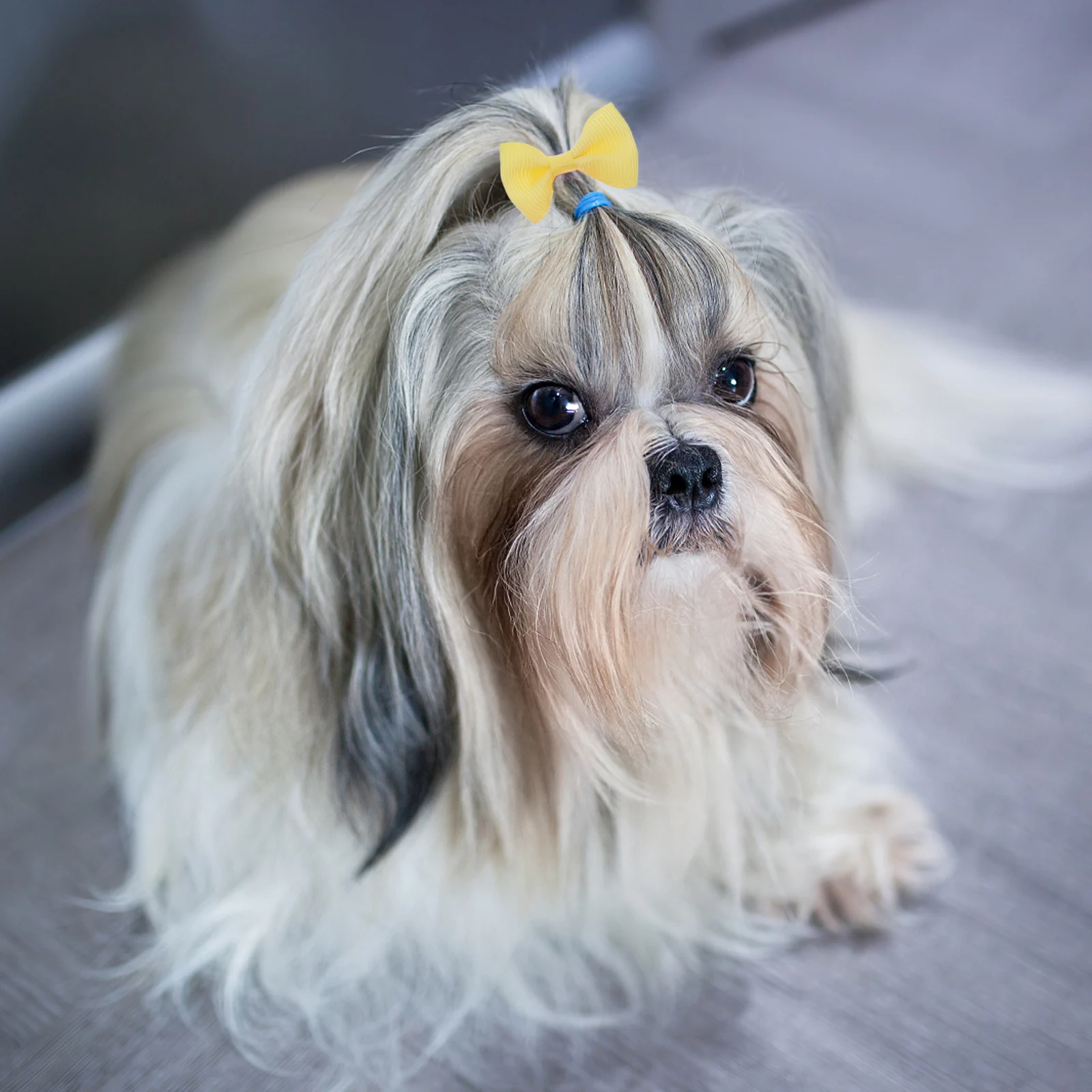 

20Pcs Multicolor Elastic Bowknot Rubber Hair Bands Soft Hair Ties for Pets Dog Cat Comfortable Durable Bowknot Rubber Bands