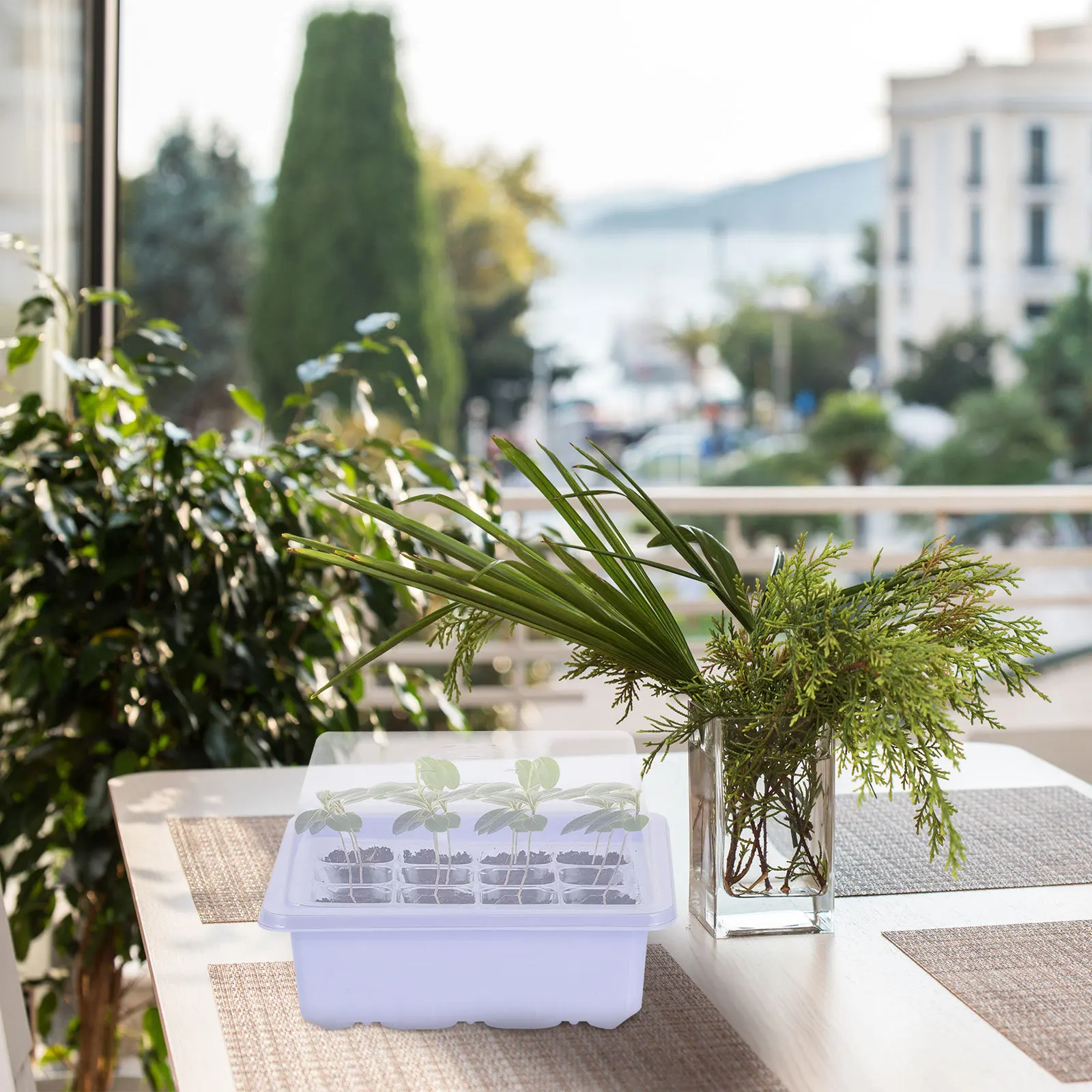 

2Sets Garden Sprouter Tray Premium Plastic Propagator Heat Moisture Preservation Germination Starter Kit Plant Growing Tray