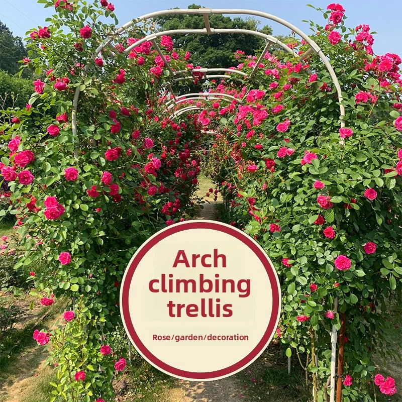 Arch Trellis for Climbing Roses Outdoor Flower Vine Support Rack Metal Plant Cages for Garden Rustic Pergola for Climbing Plants