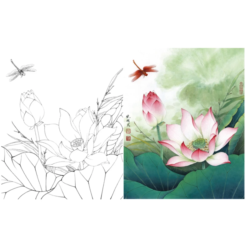 Li Xiaoming Lotus Dragonfly Sketch Copying Papers Meticulous Painting Line Drawing Print Manuscripts with Coloring Step Diagrams