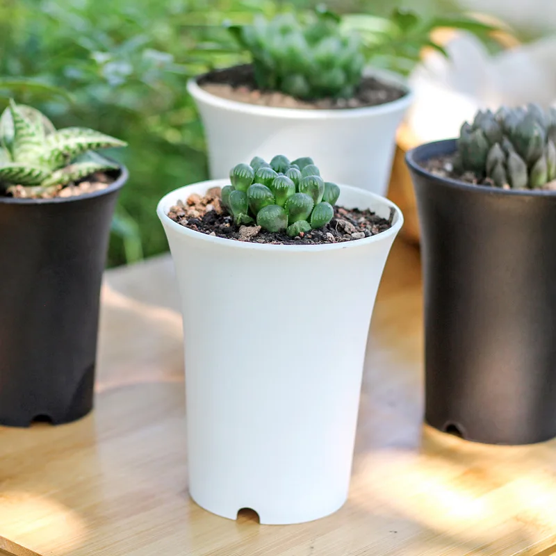 Succulent Plant Old Pile Basin Vientiane Basin Thickened Matte Round High-Waisted Plastic Flowerpot Black White Gardening