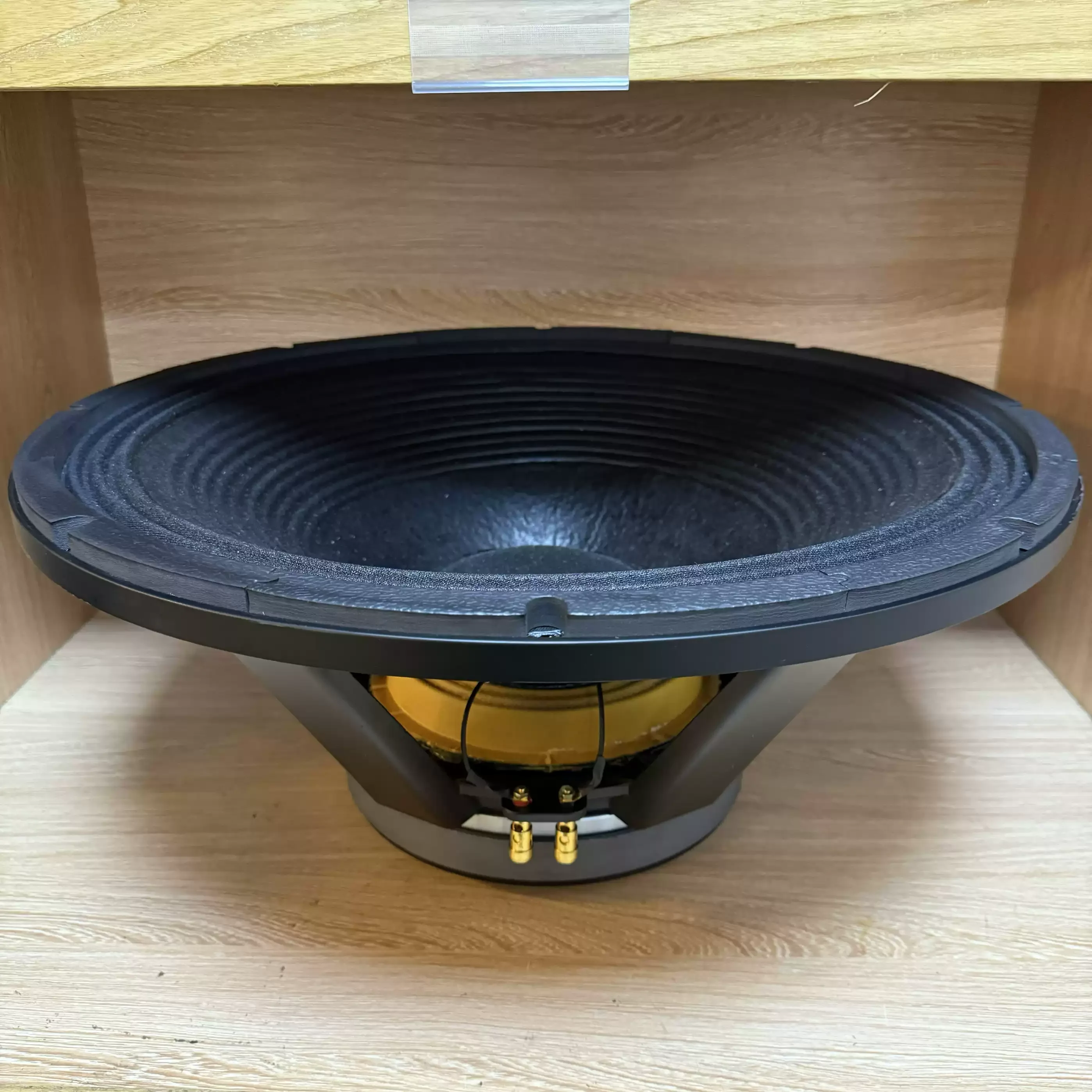 250 Magnet 125 Core 21-Inch Woofer - High Power Full Range Mid-Bass for KTV, Bar & Performance Venues