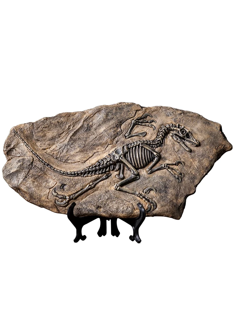 

Simulated dinosaur fossil model retro handicraft specimen decoration Tyrannosaurus rex ornament office decoration