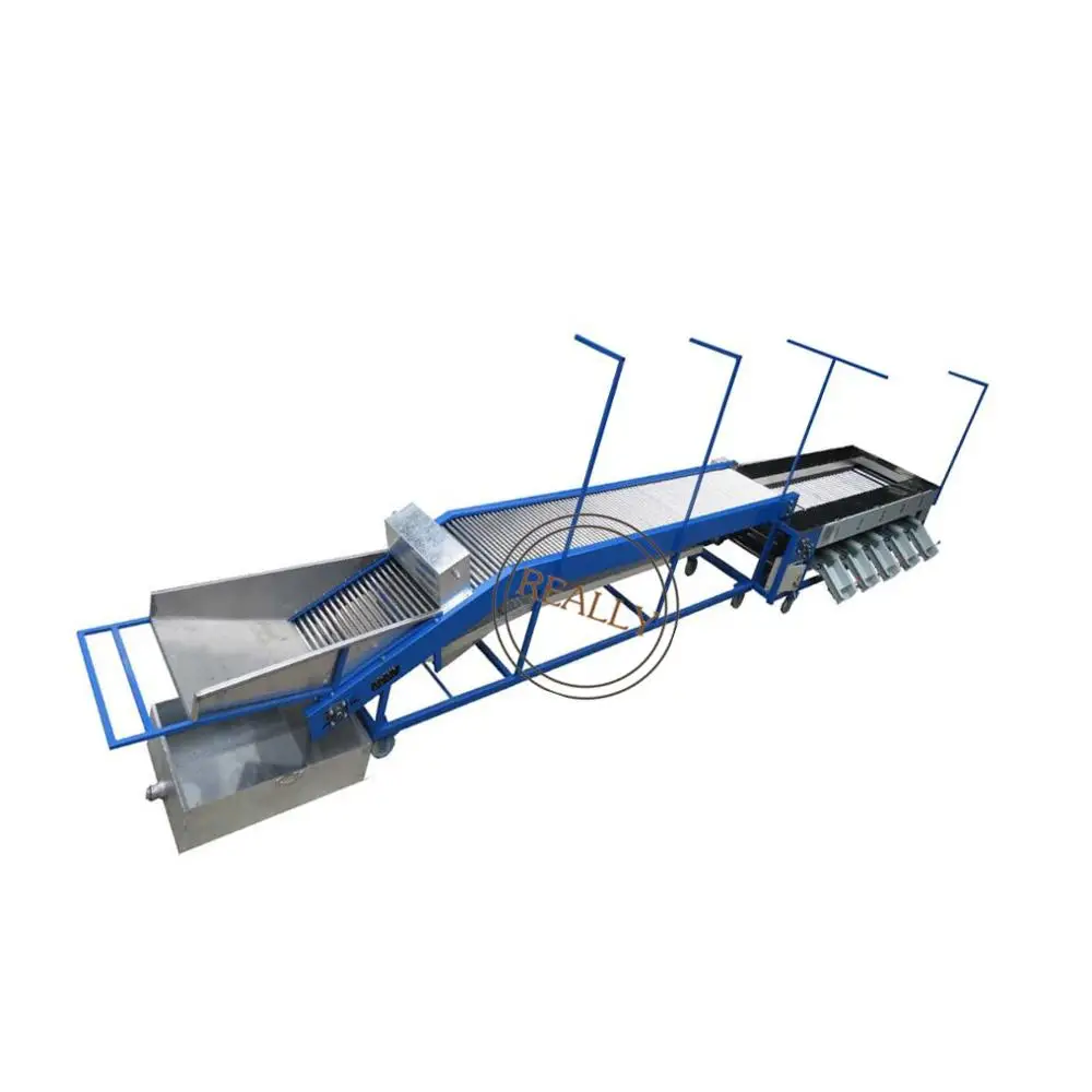 آلة فرز الفاكهة آلة فرز الطماطم الكرزية آلة تصنيف الزعرور