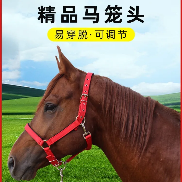 

Professional Manufacturer Custom Horse Riding Halter With Cotton Lead No reviews yet