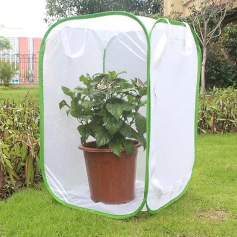 Nueva jaula para insectos de hábitat de mariposa, jaulas de malla, caja de invernadero plegable emergente para plantas, tela de red