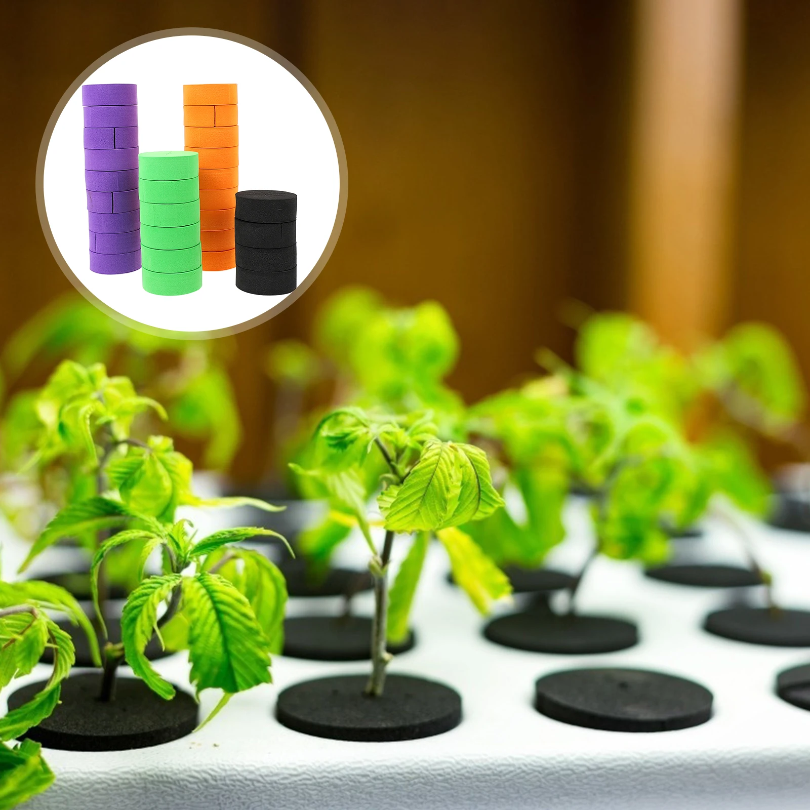 

50pcs Hydroponic Plant Plugs Soilless Cultivation Sponge Blocks EVA Rooting System Accessories Gardening Tools Vegetable Seeds