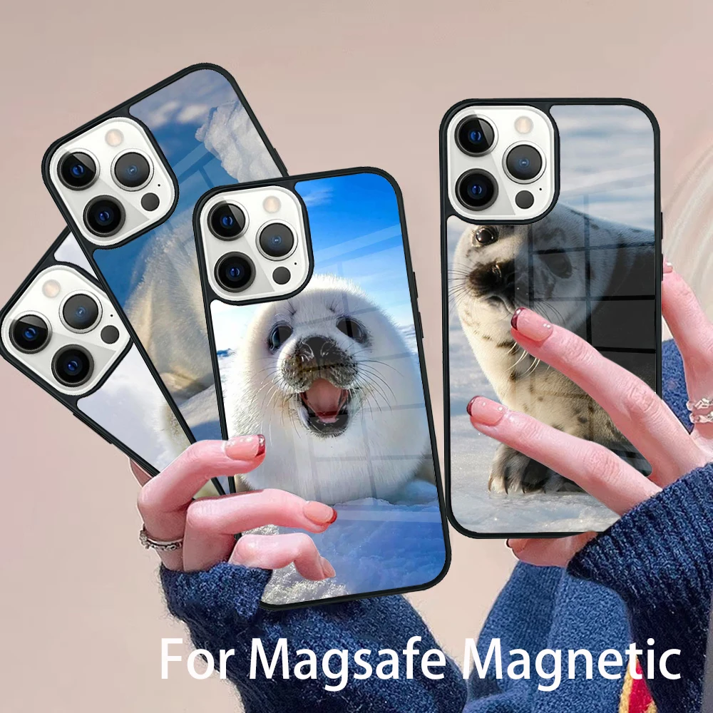

Baby Seals Phone Case Magesafe Magnetic Wireless Charge Cover For IPhone 16 11 12 13 14 15 Pro Max Plus Mini
