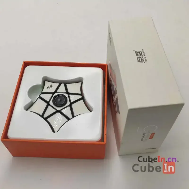 Diansheng 5 Axis Spin Twist Puzzle Puzzle Cube Educational Toy Gift Idea X'mas Birthday