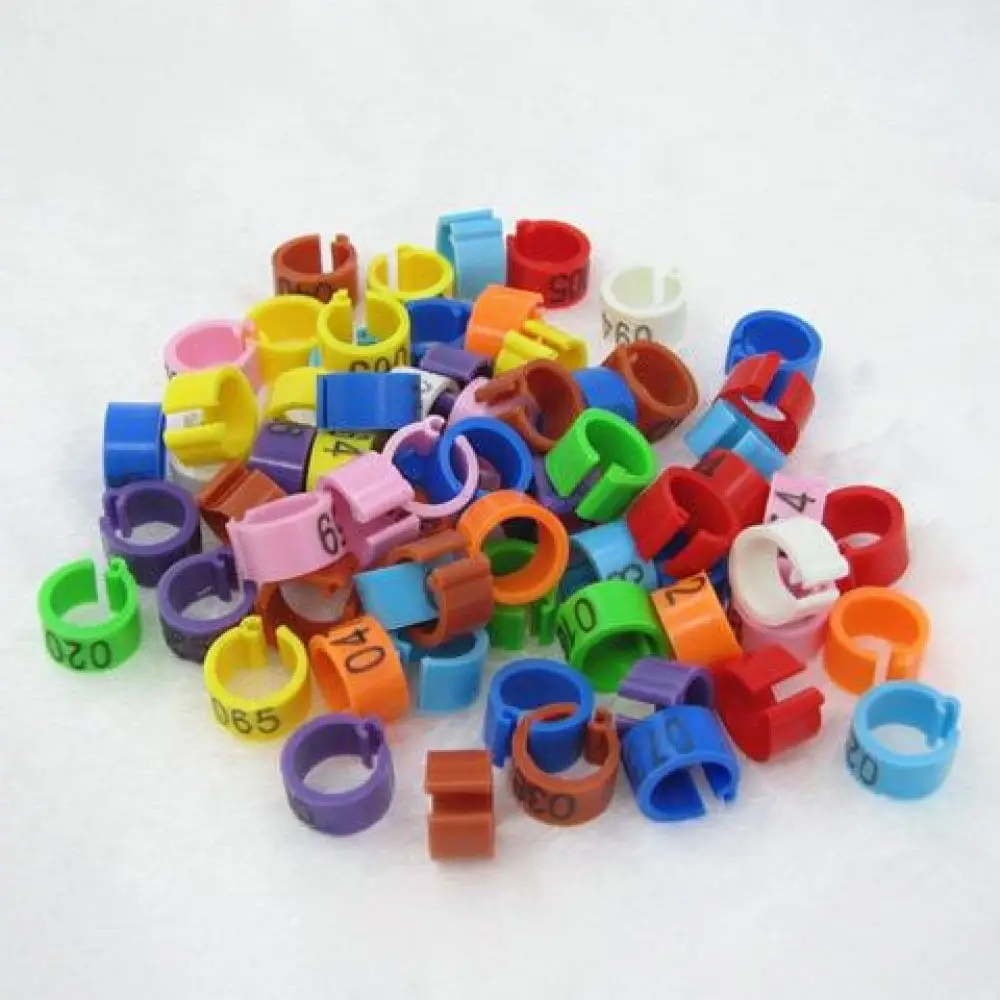 Durable Plastic Pigeon Leg Rings Identification Bands For Racing Pigeons Poultry Management Tracking Supplies
