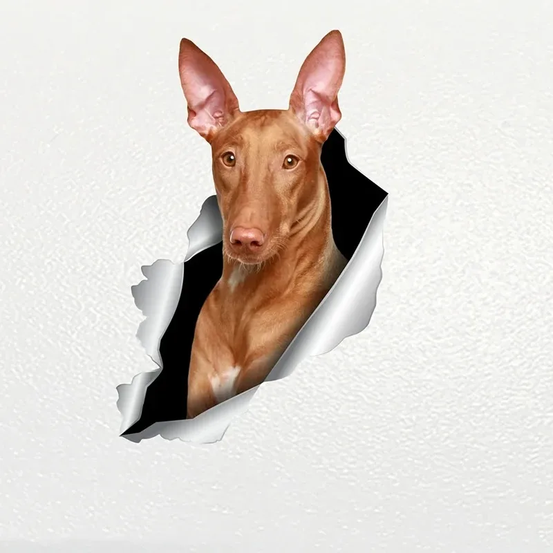 Car Sticker Pharaoh…