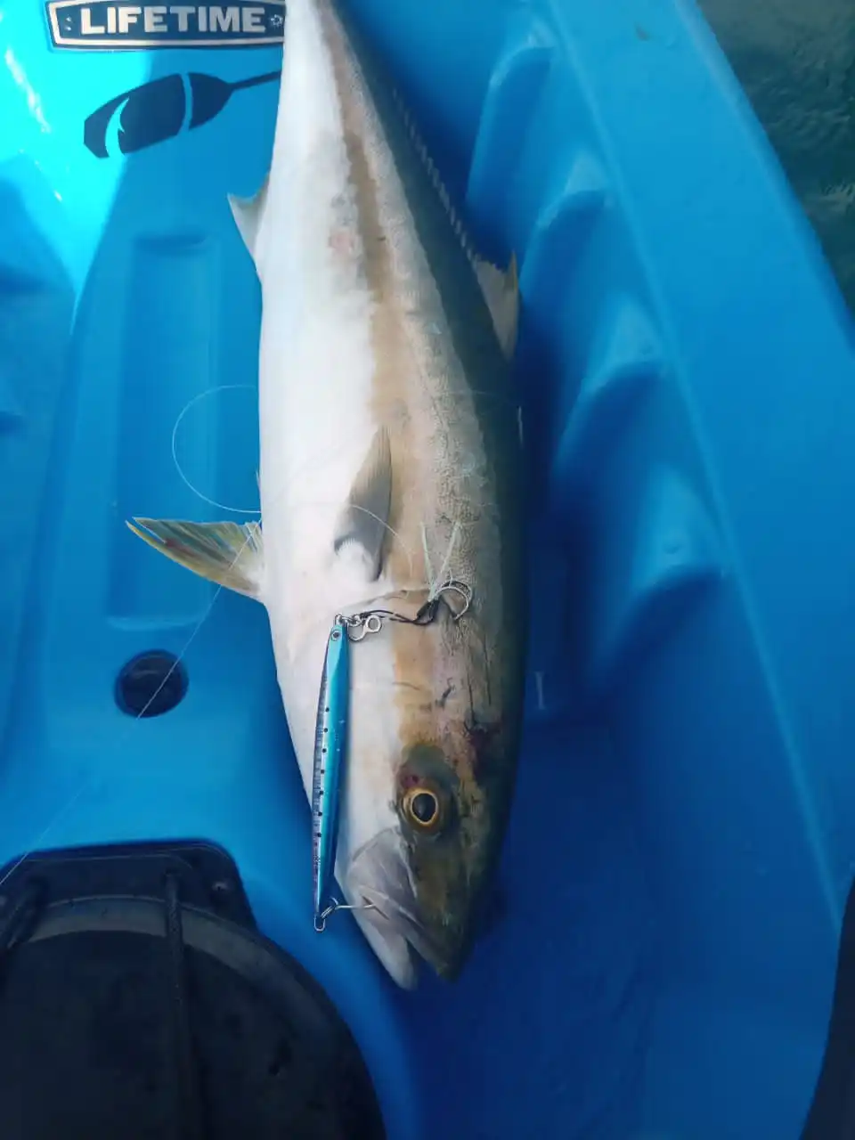WEIHAI FSTK cuchara de jigging metálica larga súper delgada 20-30G - imagen 3