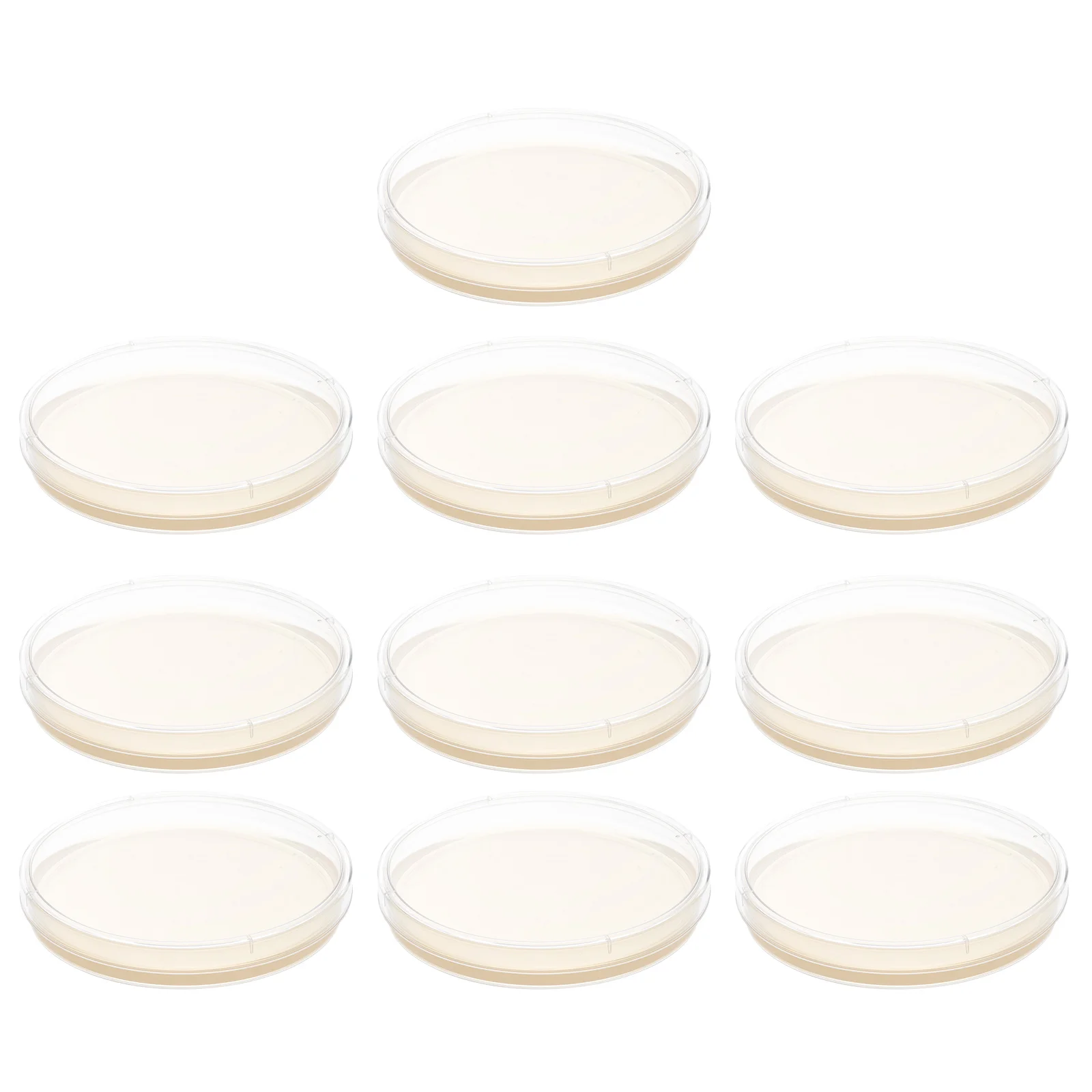 

10 Pcs Nutrient Agar Plate Medium Kids Science Fair Project Kit Poured Plates Petri Dishes with Flat