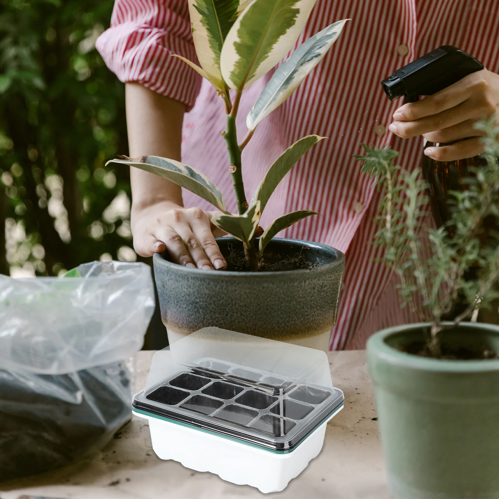 

3Pcs Plant Germination Tray Kit Clear Lid Controlled Humidity Seedling Nursery Tray Garden Growing Hydroponic and Compost Use
