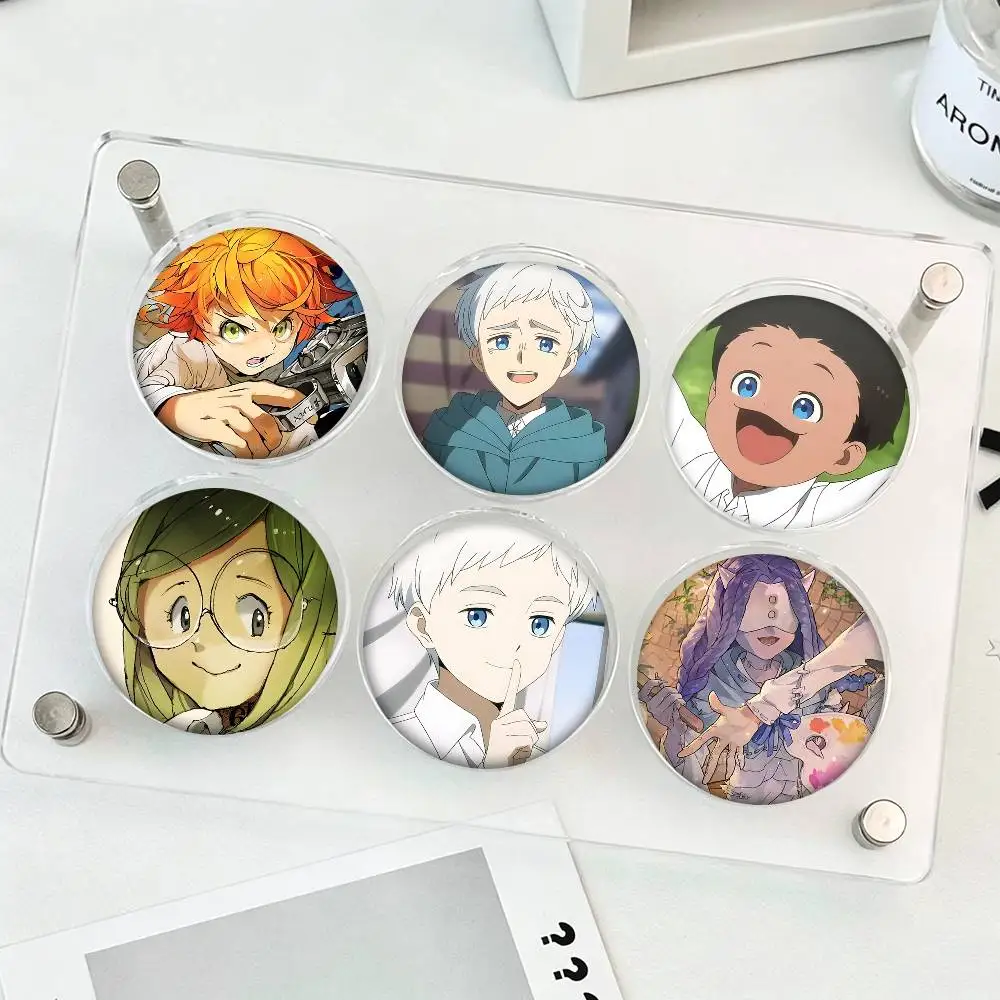 1pc Classic Anime The Promised Neverland Cartoon Style Badge Brooches On Backpack Decoration Round Enamel Pins For Accessorys