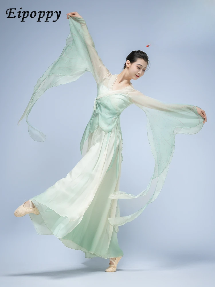 클래식 댄스 의상, 나비 그라데이션 공연 의상