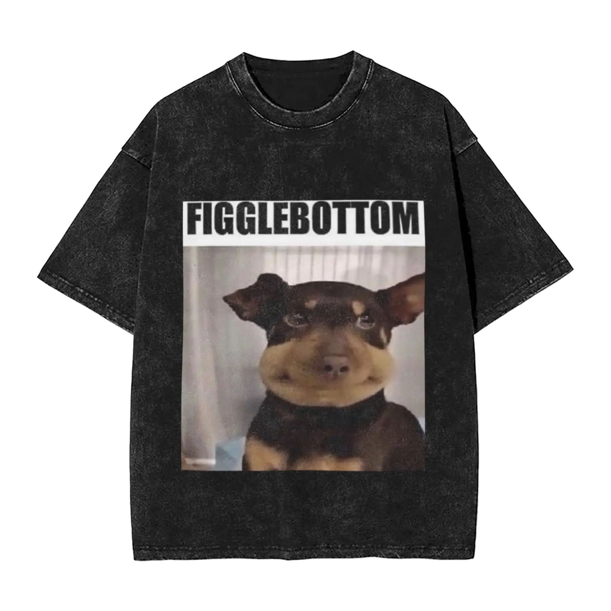 Figglebottom the Dog Meme Format Unique Cool A Vintage Oversized Cotton Unisex T-Shirts