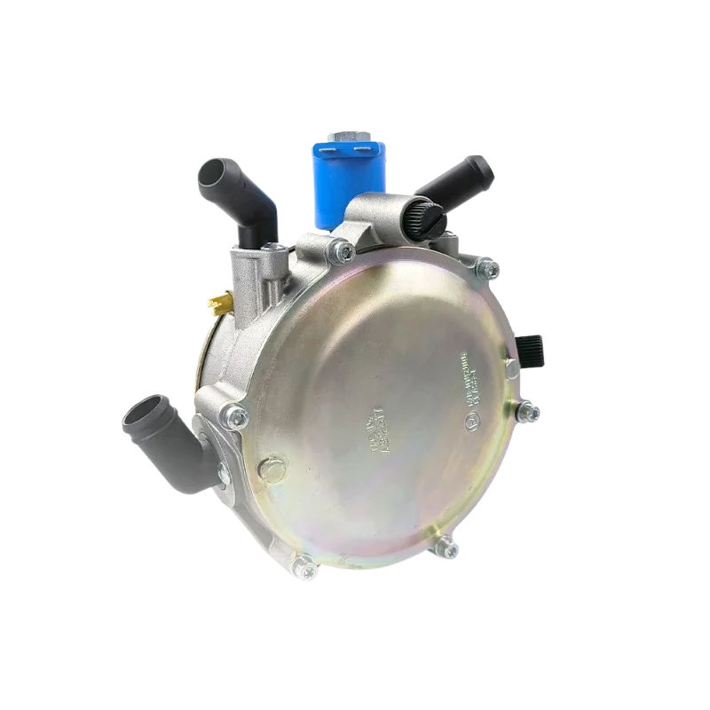2026 CNG Natural Gas LPG Oil-To-Liquid Gas Multi-Point Dedicated Evaporator Pressure Reducing Valve Regulator