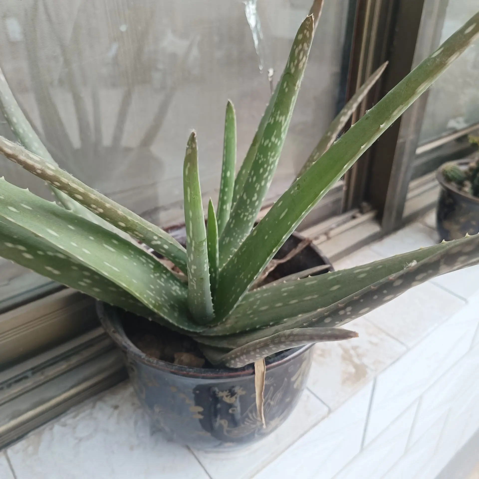 

220v Electric Corn Shelling Machine /Agriculture Corn Sheller Maize Peeling Machine/ Hot Sale Corn Peele