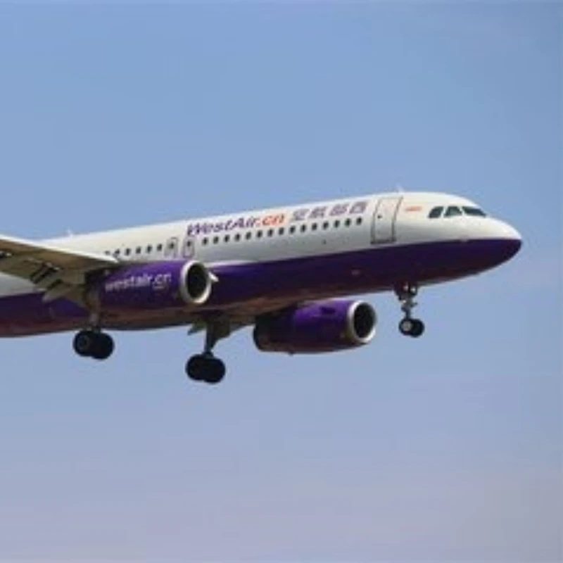 

Dadolii 2026 36V 20000mAh 10S2P XT-60 or T plug Rechargeable Lithium Battery Pack Built-in BMS Circuit