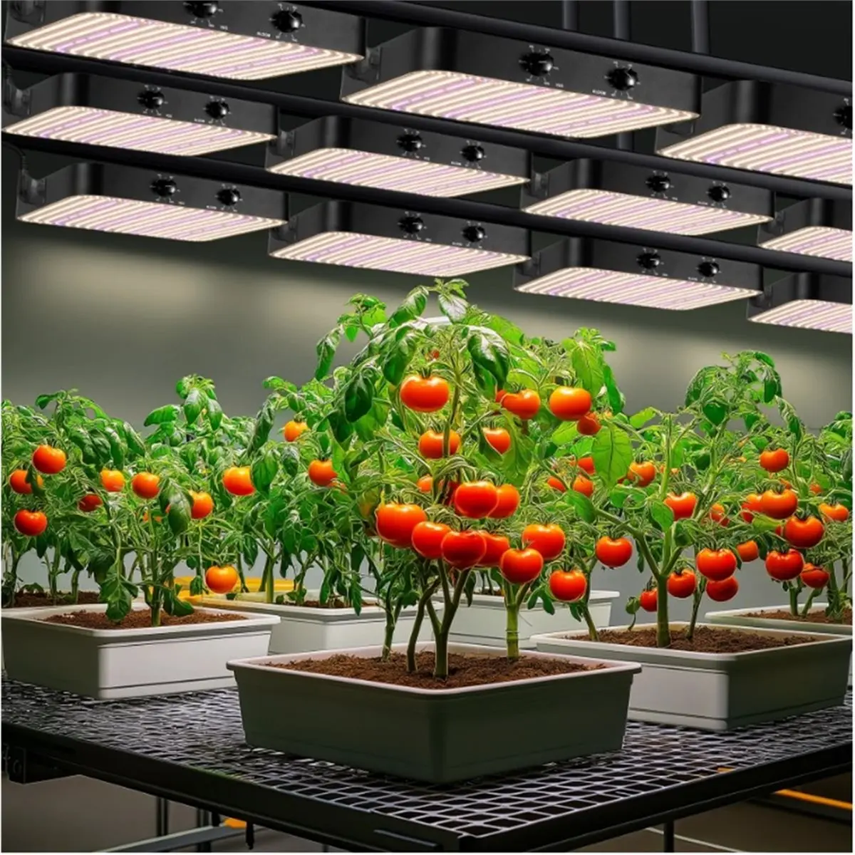 618 Mega Sale 120W LED Plant Lamp Double Dimmable VEG Bloom Dual Mode LED Grow Lamp Plant Lamp Full Spectrum Grow Lights US PLUG