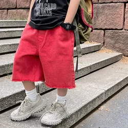 Baoduo Children's Clothing Boys' Cropped Pants 2023 Summer New Bermuda Shorts Baby Net Red Shorts Children's Pants Fashion