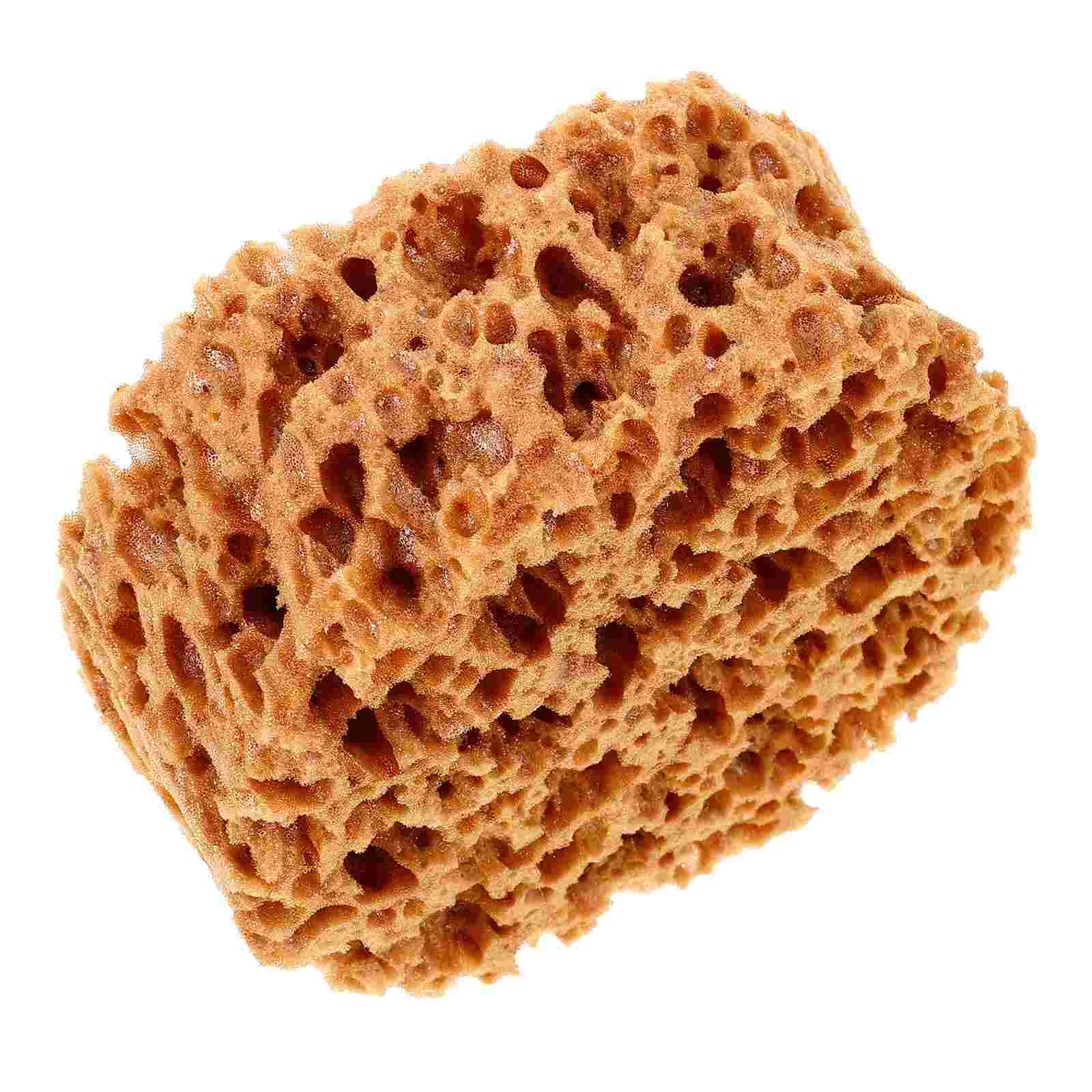 Seaweed Sponge Tool for Painting Acrylic Drywall Texture Print Unique Artistic Touch Versatile Helper