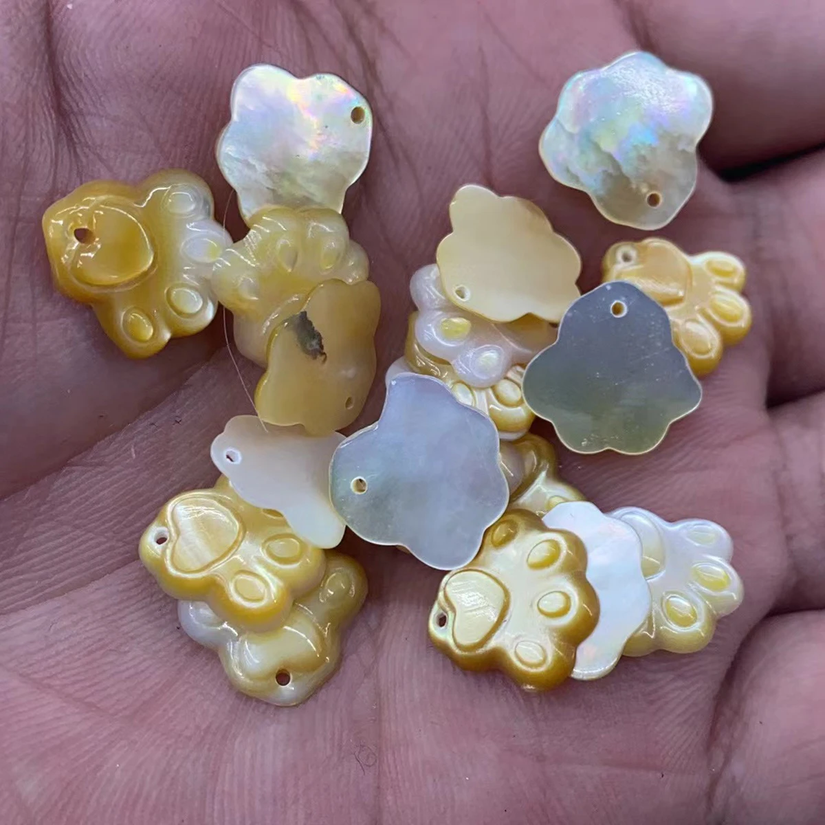 

3pcs 12x13mm Natural Shell CatClaw Drilled Holes Sea Yellow Clam Pendant White Charms Jewelry Diy Bracelet Necklace Accessories