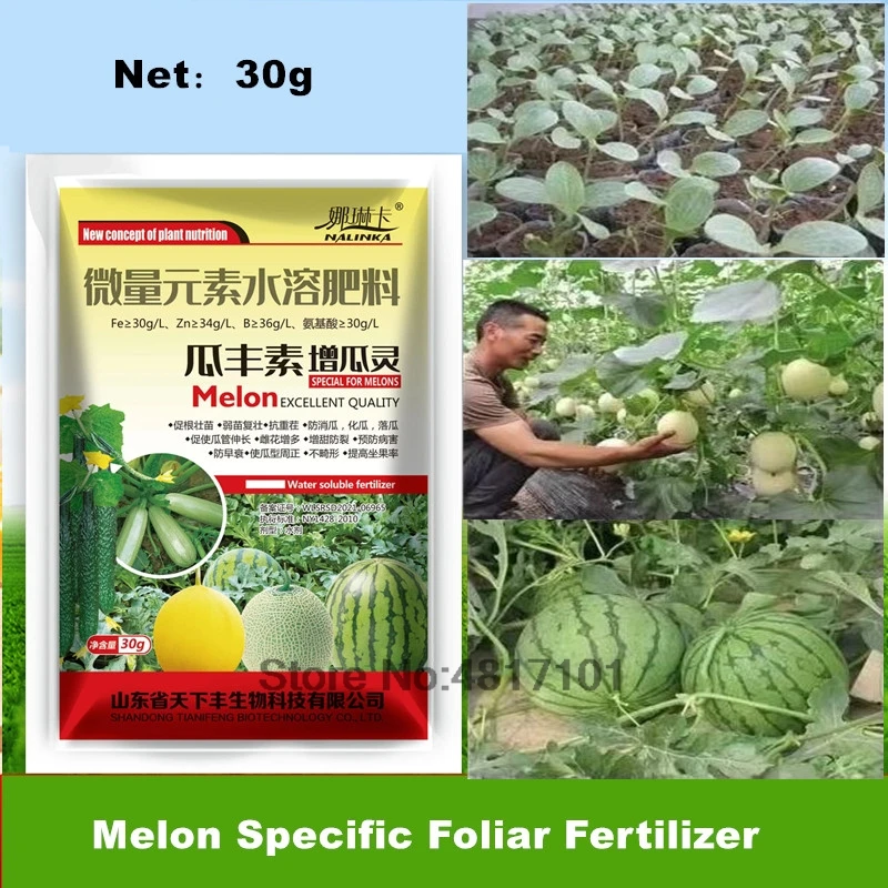 스테인레스 스틸 고기 식칼, 가정용 주방 과일 칼, 멜론 과일 필링, 가벼운 날카로운 편리한 필링 나이프 