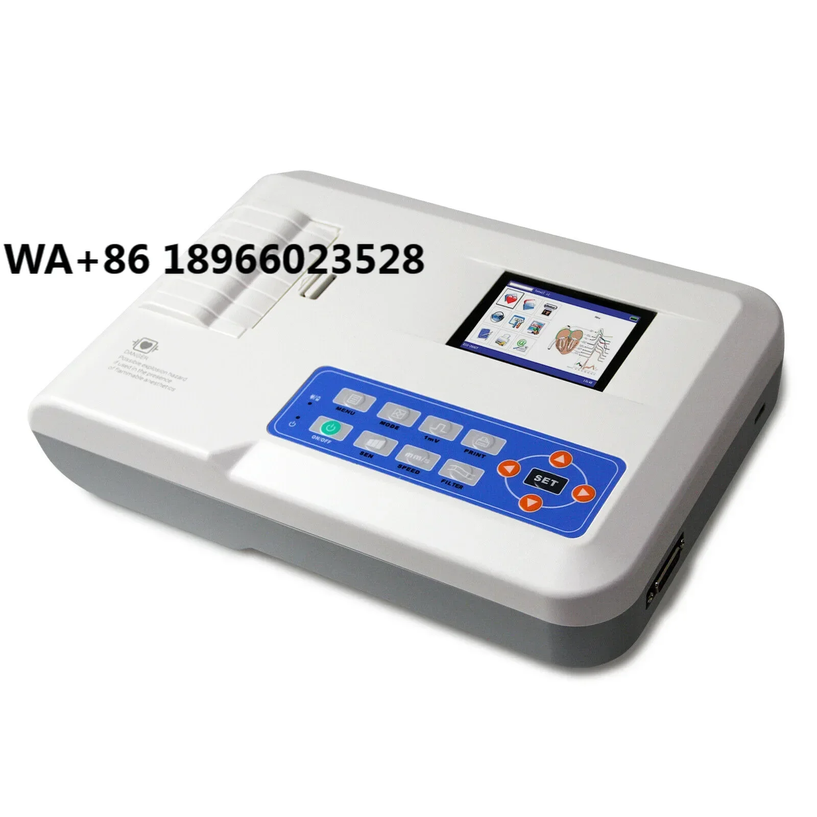 WT-300G Portable Veterinary 3 Channel Digital Electrocardiogram ECG Machine