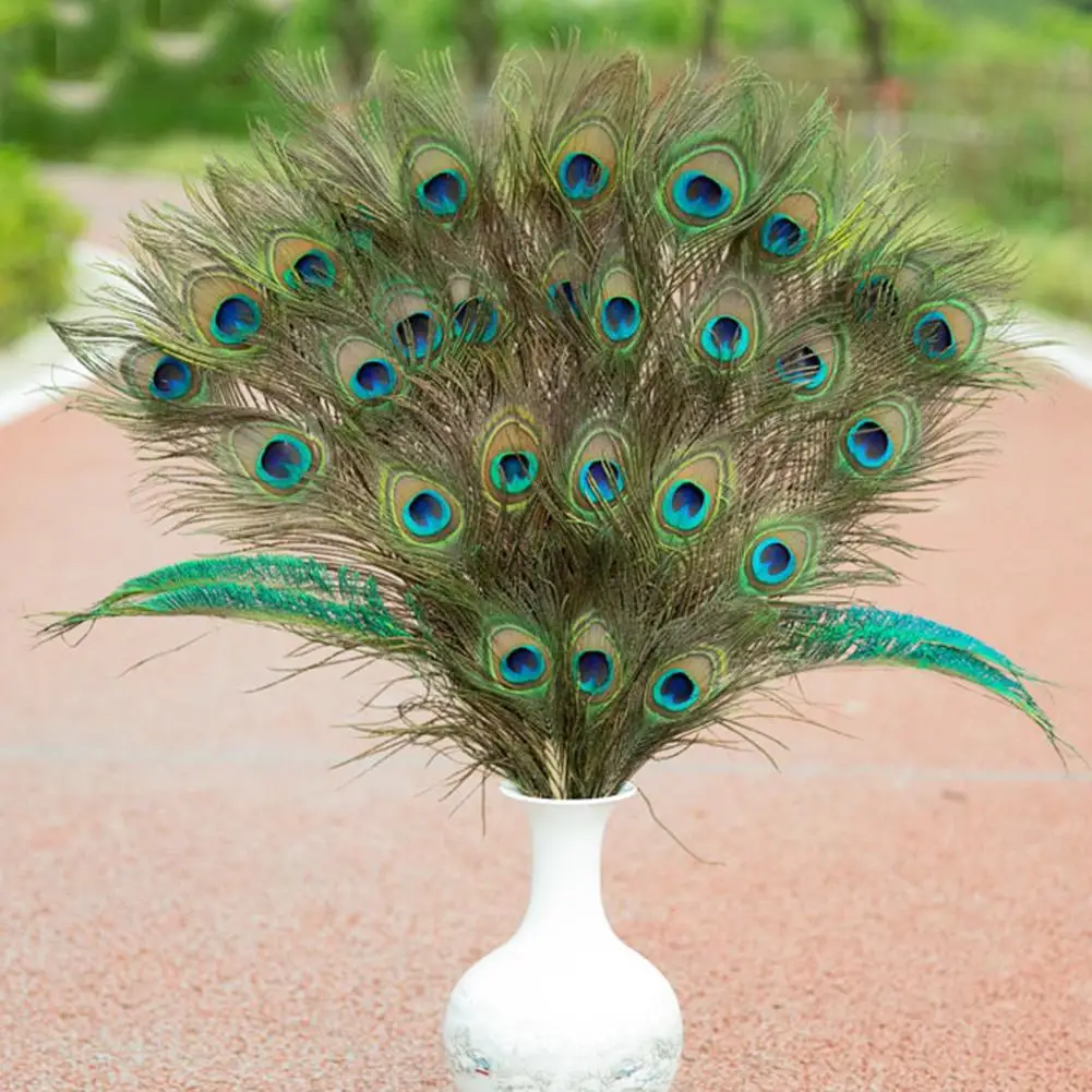 Peacock Feather 25-20cm DIY Craftsmanship Jewelry Vase Wedding Blossom Decoration Dress Accessories Stage Plum Table Perfor N6V3