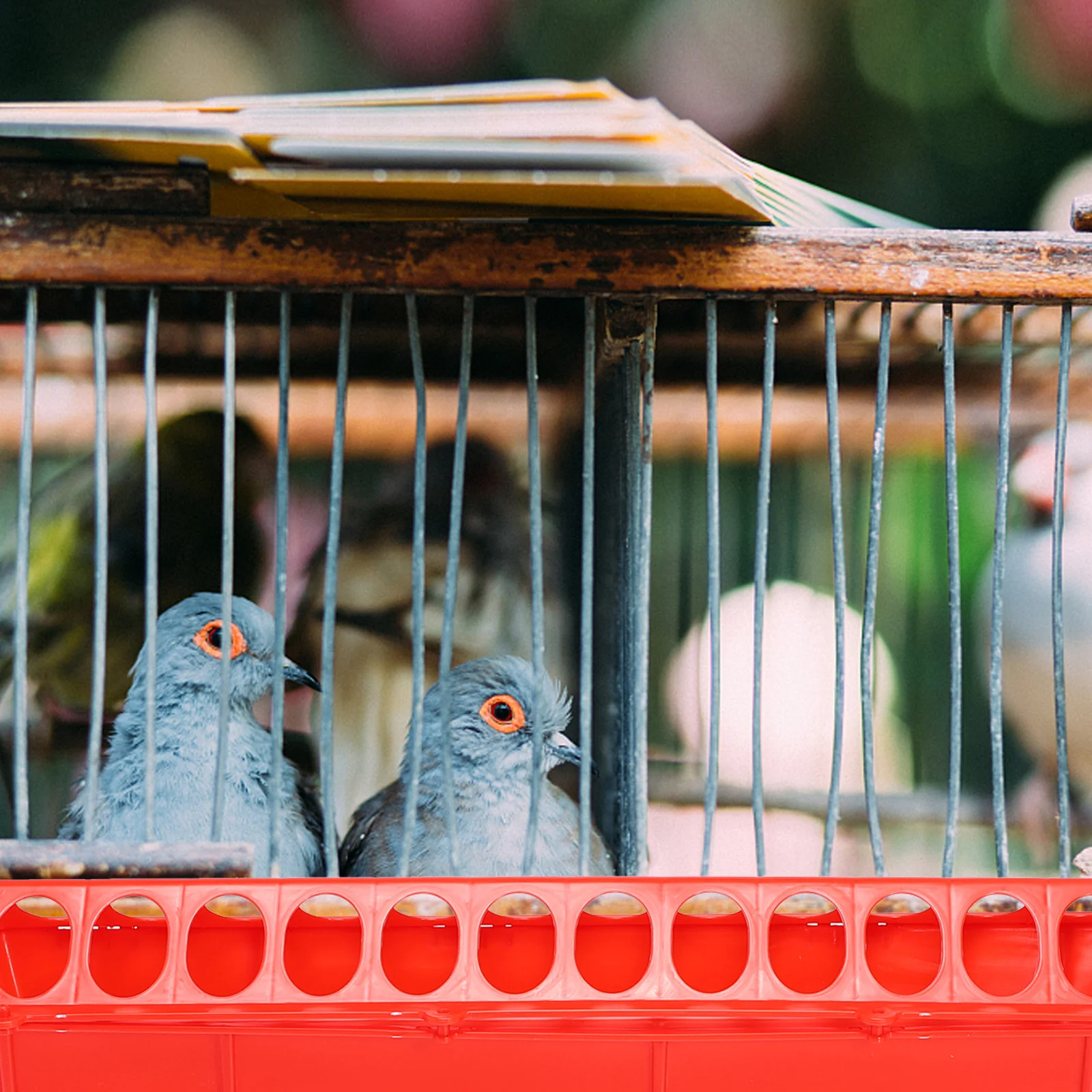 

2Pcs Poultry Feeding Troughs Long Feed Groove High-Quality Plastic Anti-Drop Chicken Duck Feeder Dish for Cage Farm Use