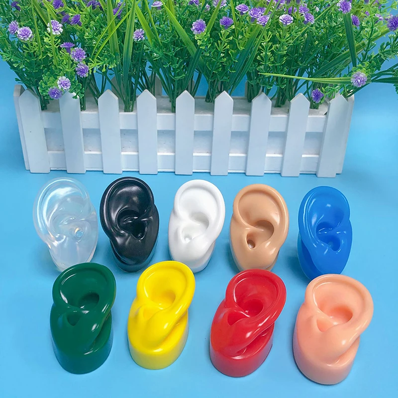 Soft Silicone Ear Model For Hearing Aid 1:1 Human Ear Ear Model Simulation Display Props Teaching Tools Jewelry Display Earrings