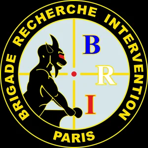 French BRI Special Forces Research and Intervention Brigade Pullover Hoodie New 100% Cotton Comfortable Casual Mens Sweatshirts