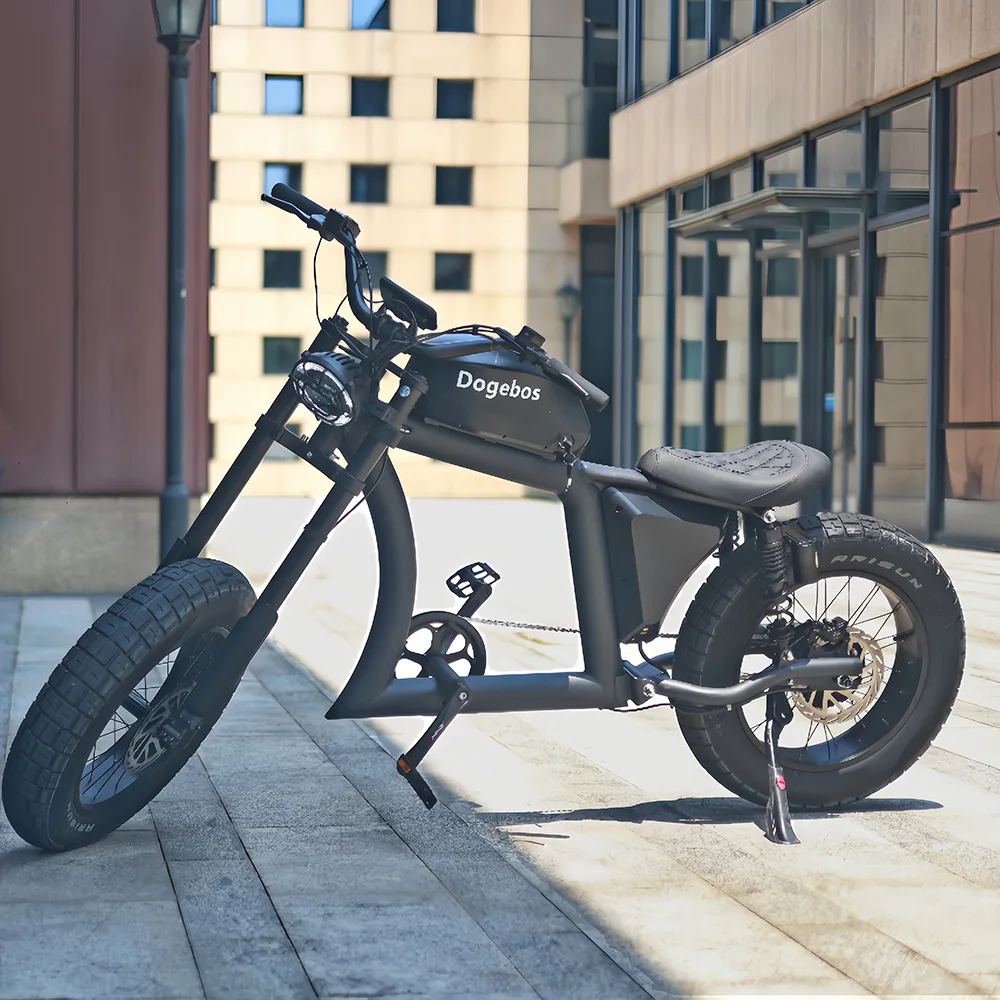 

STLF Eight Square Motor 20 Inch Fat Tire Electric Bicycle 48V Lithium Battery Supply New From Factory for Adults